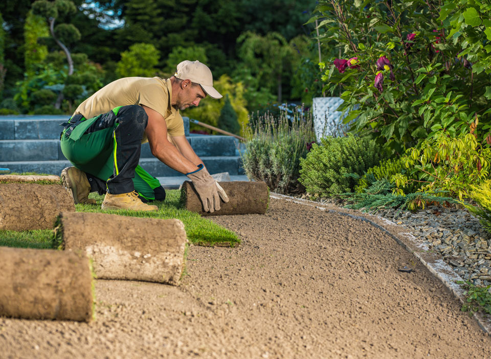 Einzigartige Gartenprojekte